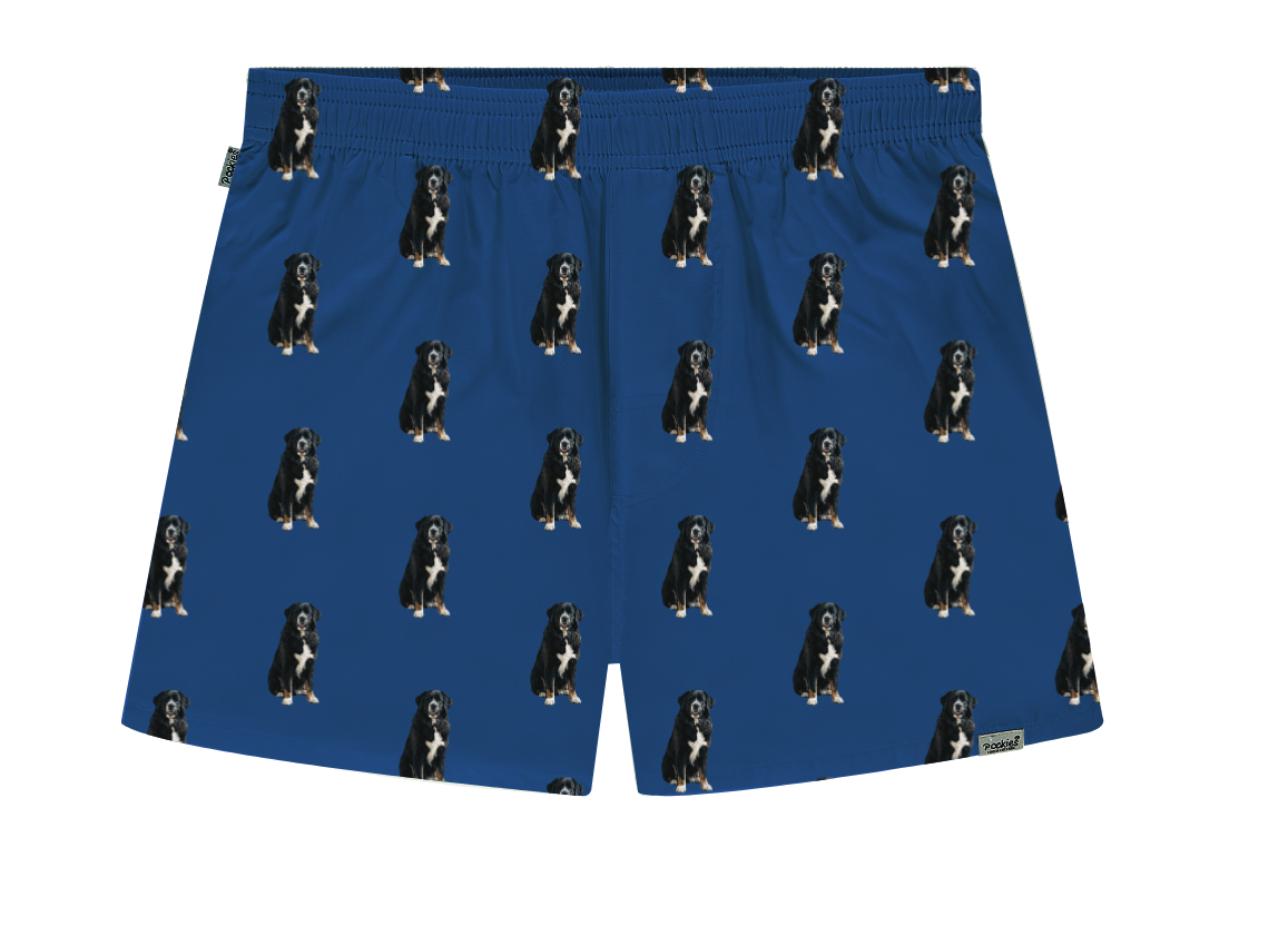 Ontwerp: Pockies met Samprint
